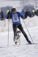 Lenk 2013